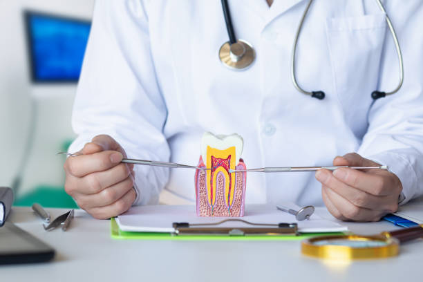 Best Emergency Tooth Extraction in Chattahoochee Hills, GA